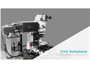 VIVO Multiphoton